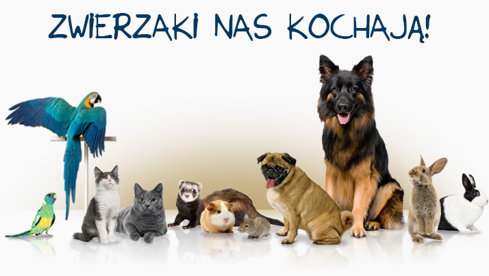 Zwierzaki nas kochają!